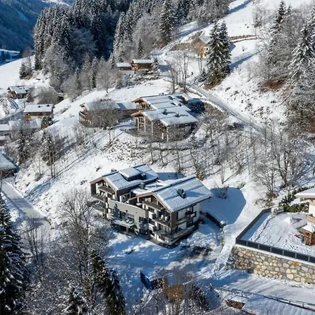 Prázdninový dům Schmittenblick 3 *