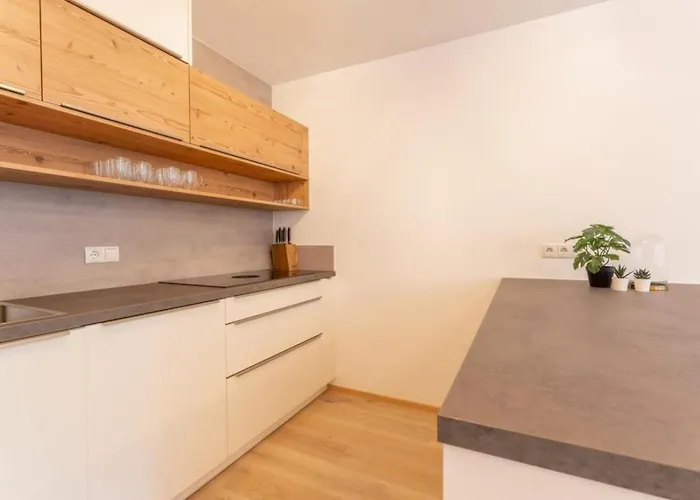 Schmittenblick 3 Vakantiehuis *