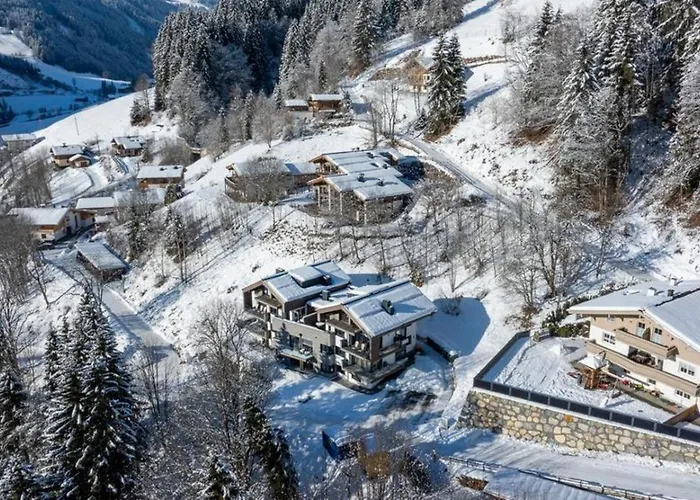 Vakantiehuis Schmittenblick 3 *