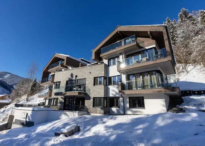 Vakantiehuis Schmittenblick 3 *